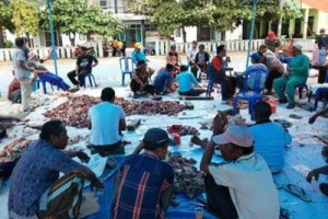 Daging qurban siap dibagikan oleh panitia kepada warga setempat.